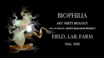 Biophilia